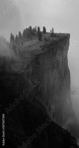 Monochrome cliff with a forested plateau top shrouded in mist. The steep face adds to the dramatic feel of isolation