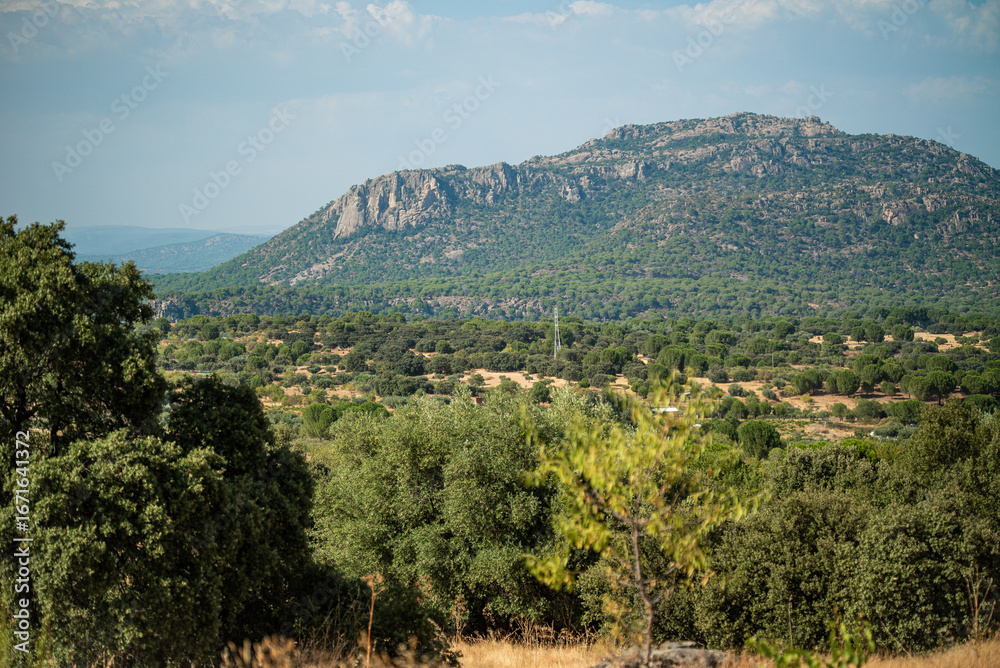 Obraz premium Iconic White Windmills and Fields in the Heart of Spain