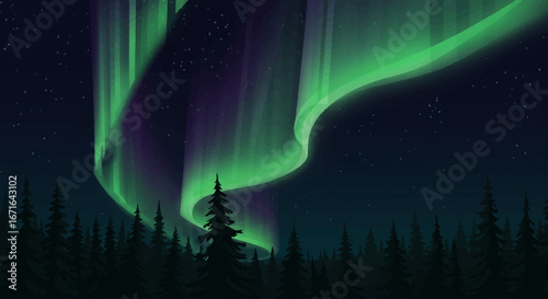 Vibrant Northern Lights Dancing Above a Dark Forest