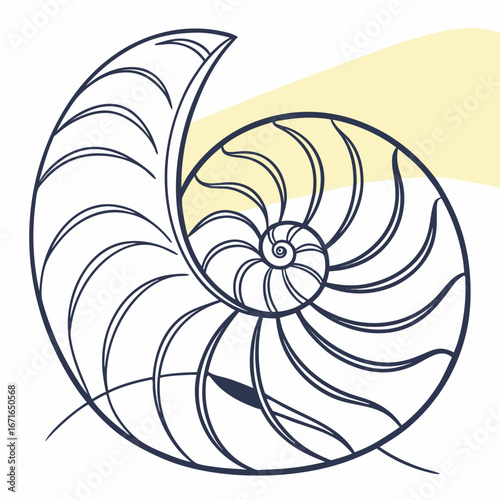 Illustration of a nautilus shell with a spiral pattern, , perfect for marine biology or abstract art design