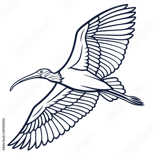 Vector art of elegant ibis in flight, soaring through the sky with grace, a symbol of freedom and beauty in nature
