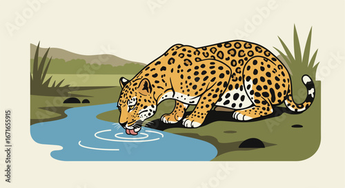 Jaguar is drinking water, from a river, in the forest, in an illustration