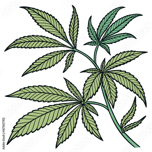 Stylized illustration of a cannabis plant branch with multiple green leaves on a white background