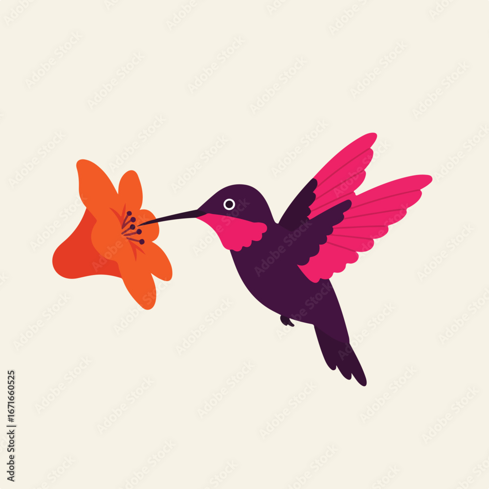 Obraz premium Hummingbird Drinks Nectar From Flower in Natural Habitat Illustration