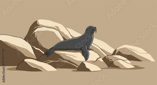Seal Resting, basking on Rock Formation along Sandy Shoreline, beach-side