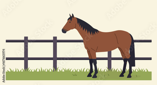 Horse Standing by Fence in Field