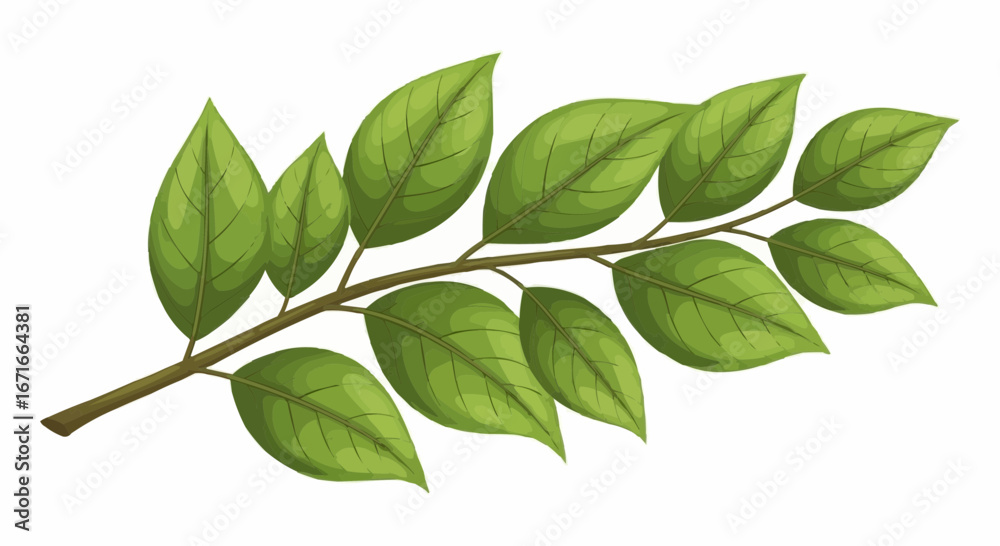 Fototapeta premium Illustration of a detailed branch with multiple green leaves, showcasing natural growth and texture.