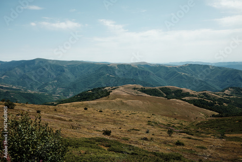 Wide meadow on Stara Planina with mountain slopes in the background under a bright blue sky. Serbia country. Wild horses graze in the distance