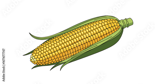 An illustrative visual representation of a ripe yellow ear of corn showing its many kernels covered by green husks
