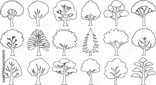 tree silhouettes
