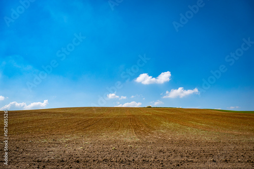 Piemonte - Monferrato - Viarigi - Panorami della campagna - Sfondi desktop