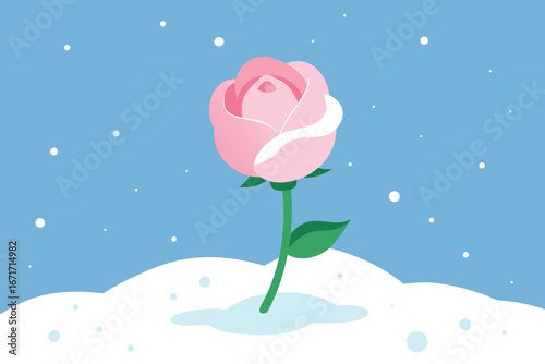 A vibrant pink rose emerges from the snow, highlighting its beauty amidst the cold, wintry landscape.