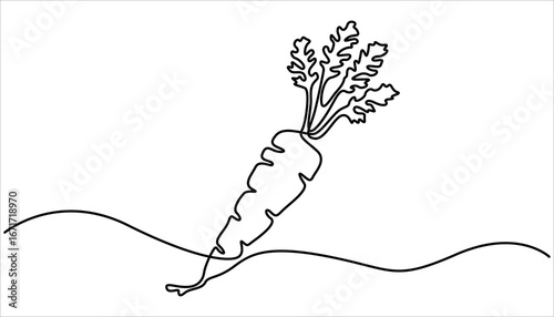 Carrot in one continuous line drawing of vector illustration, Continuous one line drawing of Carrot healthy eating icon. Hand drawn Editable stroke. Simple carrot continuous single line art.

