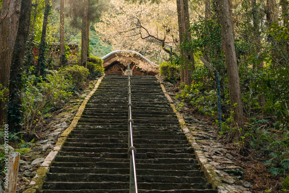 Obraz premium Tokushima, Japan - may 2 2025 No.36 Shoryu Temple on the Shikoku Pilgrimage