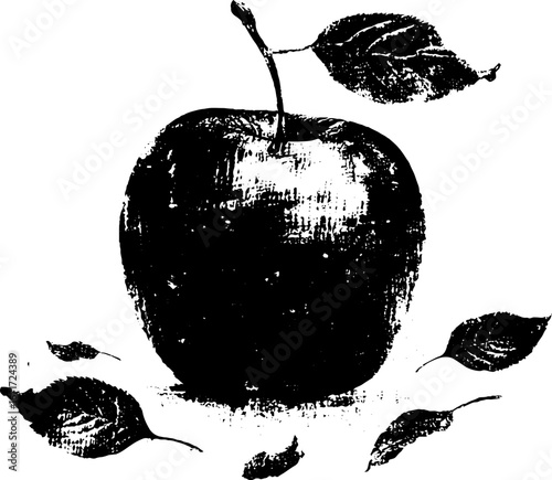Grunge black and white apple core illustration for urban art and design