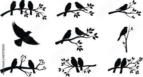 Bird silhouettes on branches, flying bird silhouette, sparrow silhouettes, nature branch design, black bird vector, decorative bird clipart