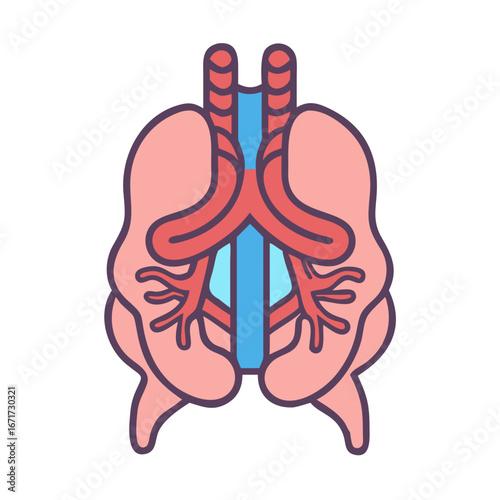 Anatomical illustration: Lungs, trachea, and bronchus with simple style