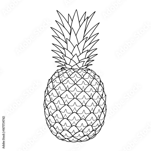 pineapple vector illustration