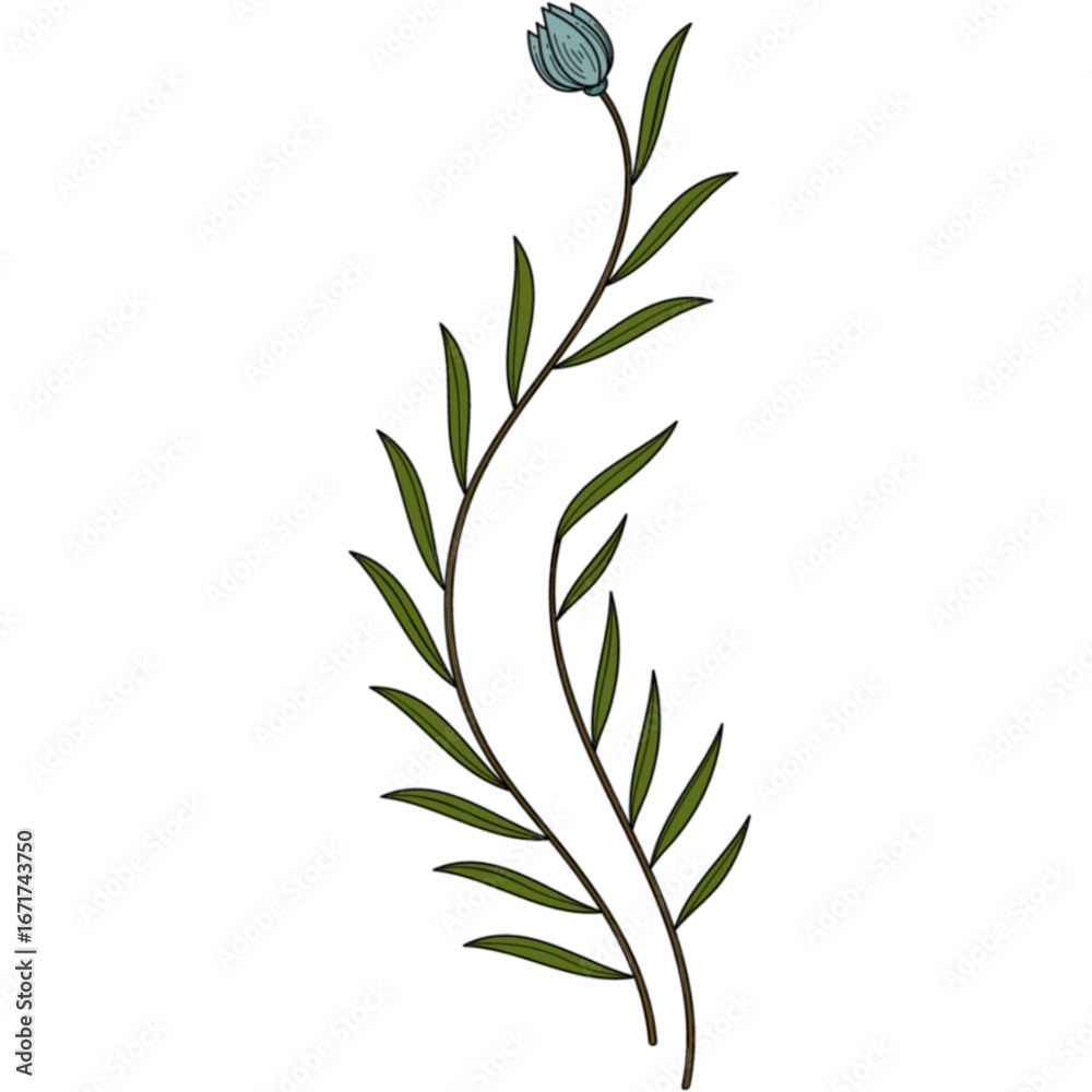 Fototapeta premium Simple Flower Illustration Isolated