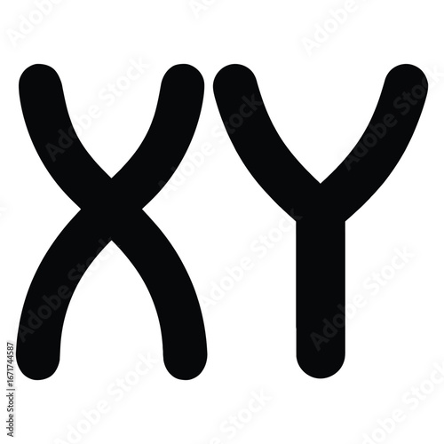 Minimalist silhouette icons of chromosomes x and y isolated on white background