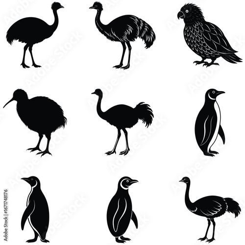 Black Silhouettes of Assorted Flightless Birds and a Parrot Against White Background