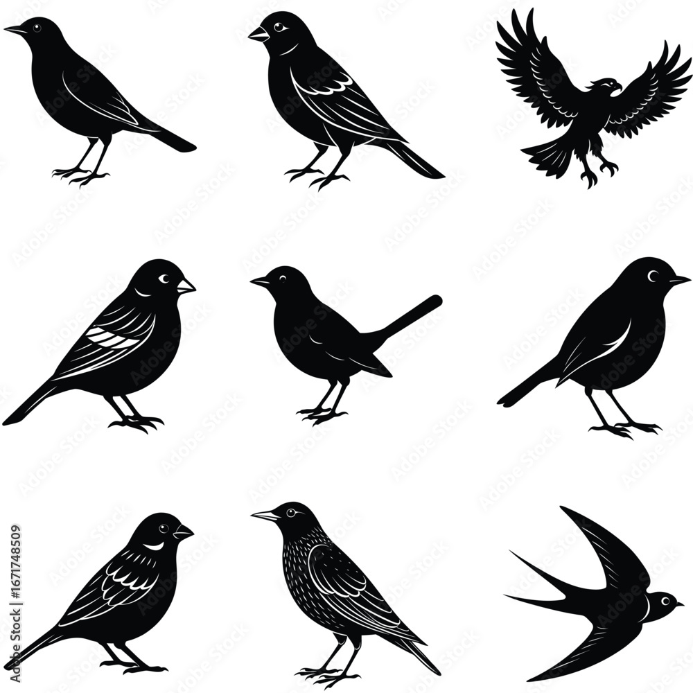Obraz premium Nine Black Bird Silhouettes Sparrows, Swallows, and Eagle Isolated on a White Background
