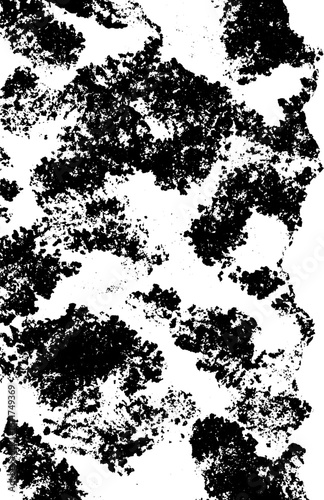 Wallpaper Mural Abstract grunge black and white texture of mossy surface for urban design Torontodigital.ca