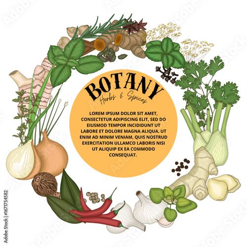 Botani and herbs