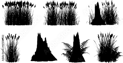 Set of shoots of reeds, reeds and coastal grass. Ferns and rotten stumps. Swamp landscape. View of the river bank. Silhouette picture. Isolated on white background. Vector