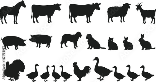 Farm animals silhouettes, horse, cow, pig, goat, sheep, dog, cat, rabbit, turkey, rooster, duck, goose vector illustration