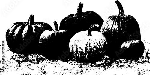 Grunge black and white pumpkin illustration for halloween and autumn design
