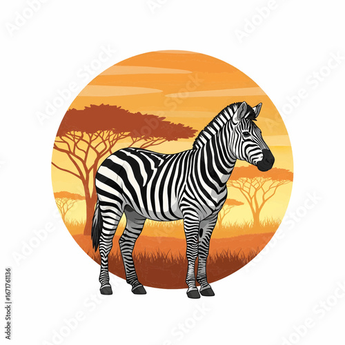 Zebra in savanna habitat vector illustration