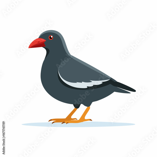 Standing Common Myna Vector Illustration with Red Beak and Yellow Legs isolated on white