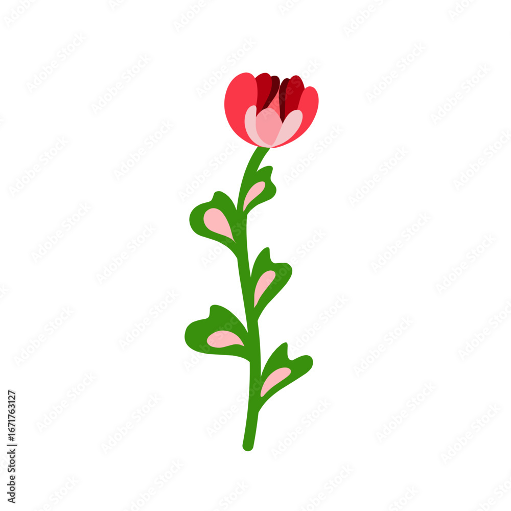 Fototapeta premium red rose on white background