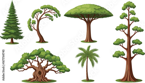 Set of six cartoon-style tree illustrations with diverse shapes and foliage, isolated on white background for botanical, design, and educational use