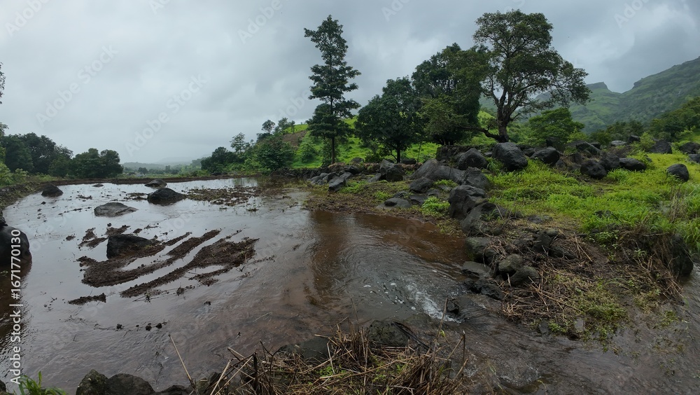 Fototapeta premium Rainwater Flowing Through Rocks in a Green Monsoon Landscape