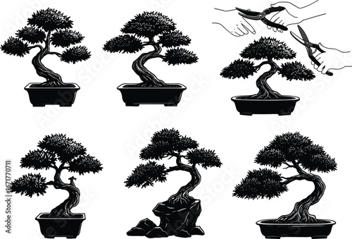 Bonsai tree vector illustration, Japanese miniature art, bonsai pruning design, traditional gardening, bonsai silhouette drawing, plant care, decorative tree, nature artwork