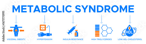 Symptoms of Metabolic Syndrome banner web icon vector illustration concept with an icon of Hypertension, Insulin Resistance, High Triglycerides, Low HDL-Cholesterol, Visceral Obesity