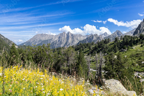 Fotografie Paisaje primaveral de alta montaña bajo un cielo azul.