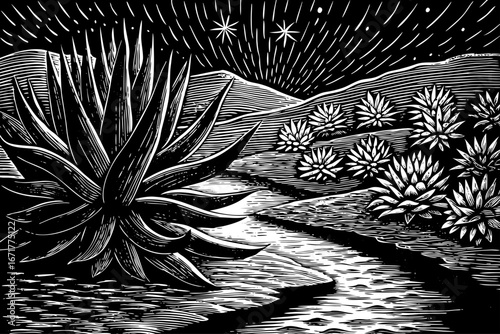 Agave cactus beside desert oasis stream, clear water surrounded by glowing plants and starry sky, magical wilderness, black and white sketch