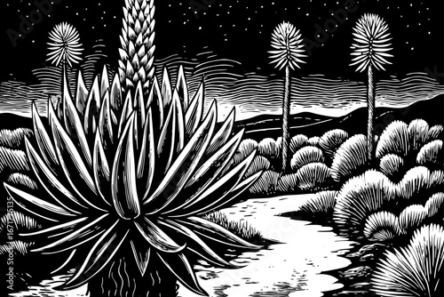 Agave cactus beside desert oasis stream, clear water surrounded by glowing plants and starry sky, magical wilderness, black and white sketch