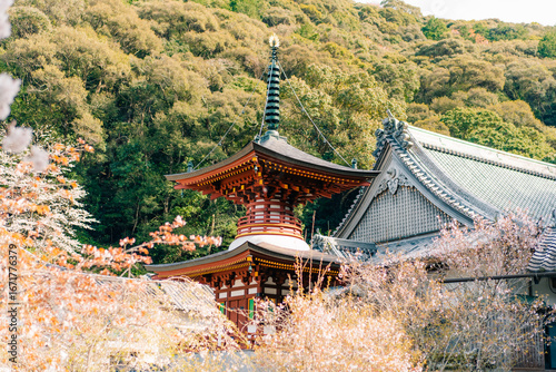  Tokushima, Japan - may 2 2025 No.36 Shoryu Temple on the Shikoku Pilgrimage