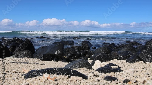 Waves Washing Over Black Lava Rocks on Hawaiian Shoreline