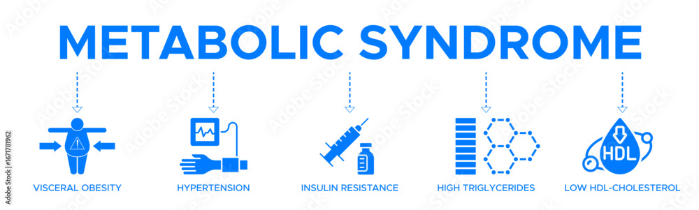 Naklejka premium Symptoms of Metabolic Syndrome banner web icon vector illustration concept with an icon of Hypertension, Insulin Resistance, High Triglycerides, Low HDL-Cholesterol, Visceral Obesity