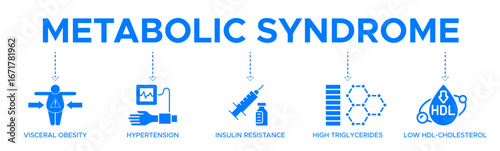 Symptoms of Metabolic Syndrome banner web icon vector illustration concept with an icon of Hypertension, Insulin Resistance, High Triglycerides, Low HDL-Cholesterol, Visceral Obesity