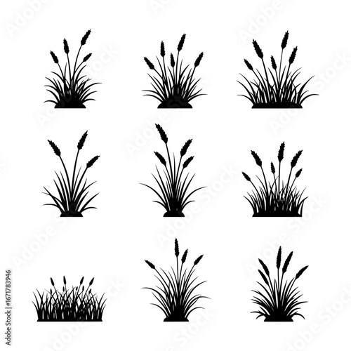 black silhouette illustrations of various tufts and clumps of wild grasses with seed heads on a clean white background