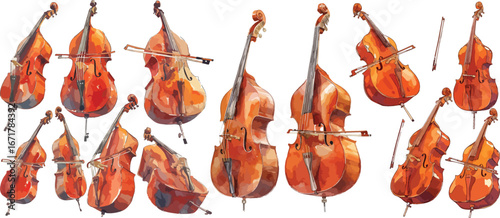 double bass watercolor clipart 