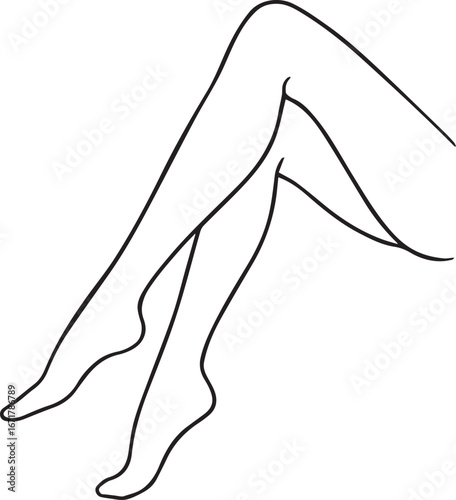 woman legs in black stockings
