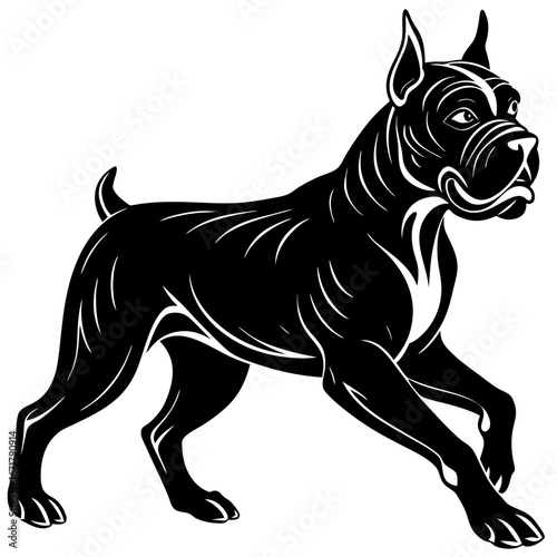 silhouette of boxer dog runing on white background