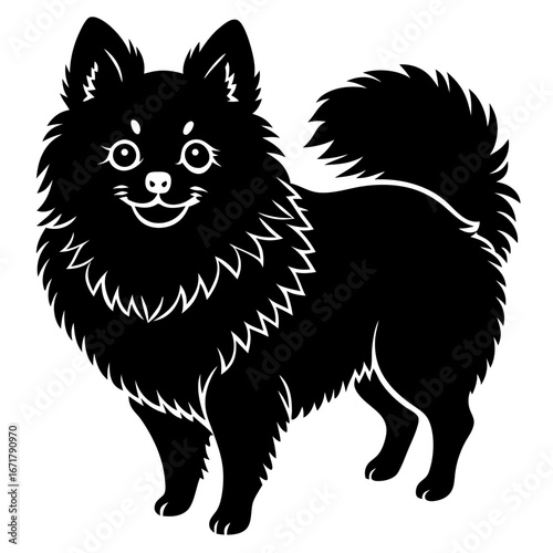 silhouette of Pomeranian on white background